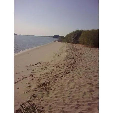 On The Elbe Dike *